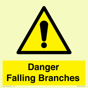 Danger Falling Branches